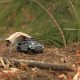 MINIATURE ADVENTURE - Camping With The DiecastTalk x Front Runner 1:64 Scale Toyota Tacoma TRD PRO Overlander